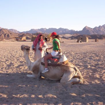 Sahara Park odpolední výlet